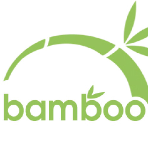 Възглавница Bambo Mix 50x70 DIOMMI 44-293 Възглавница Bambo Mix 50x70 DIOMMI 44-293