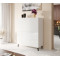 CABINET 100 ABETO mat white/ gloss white DIOMMI CAMA-ABETO-REGAL-BI/BI