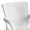 Armchair Festive pakoworld PP color white