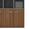Bookcase Oscar pakoworld with doors by glass walnut-anhracite color 120x40x200cm