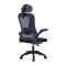 Office chair manager Delilah pakoworld mesh black