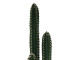 Decorative plant Cactus III in a pot Inart green pp H85cm