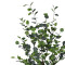 Decorative plant Eucalyptus I in a pot Inart green pp H150cm