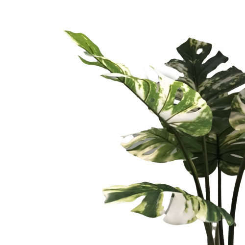 Decorative plant Monstera I in a pot Inart green pp H90cm