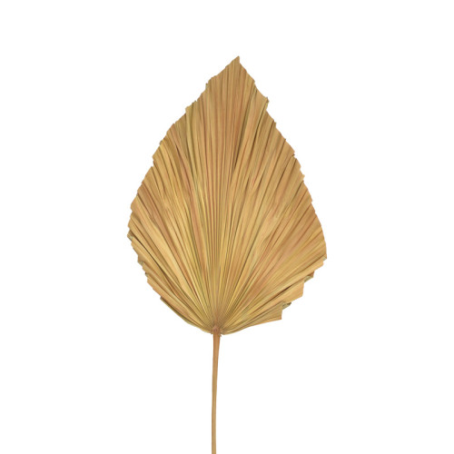 Deco leaf Walsy Inart palm leaf in natural color H135cm