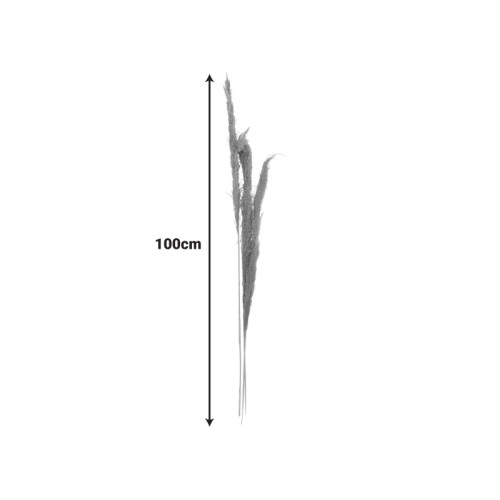 Deco pampas leaf Beroun Inart set of 3 pieces in natural color H140cm