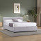 Molito pakoworld velvet bed in gray shade with storage space 150x200cm