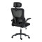 Director s office chair Mainz pakoworld mesh black color 50x60x112-122cm