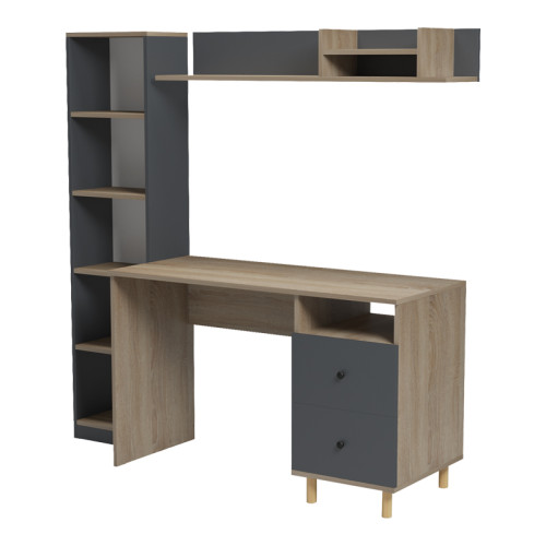 Office unit Kontor pakoworld sonoma-anthacite 120x50x160cm