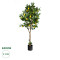  Artificial Garden LEMON TREE 20214 Τεχνητό Διακοσμητικό Δέντρο Λεμονιά Υ165cm