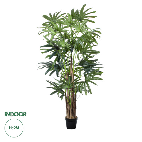Artificial Garden BROADLEAF LADY PALM TREE 20385 Τεχνητό Διακοσμητικό Φυτό Πλατύφυλλος Φοίνικας Μπαμπού Υ200cm