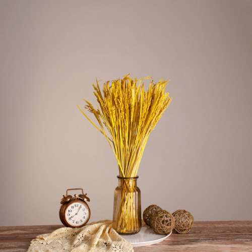 RISEGRASS 36506 Αποξηραμένο Φυτό Ρύζι - Μπουκέτο Διακοσμητικών Κλαδιών Μπεζ - Κίτρινο Υ60cm
