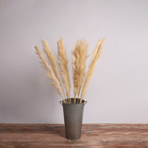  PAMPASGRASS 36509 Αποξηραμένο Φυτό Γρασίδι της Πάμπας - Μπουκέτο Διακοσμητικών Κλαδιών Μπεζ - Εκρού Υ120cm
