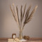  PAMPASGRASS 36512 Αποξηραμένο Φυτό Γρασίδι της Πάμπας - Μπουκέτο Διακοσμητικών Κλαδιών Καφέ - Γκρι Υ100cm