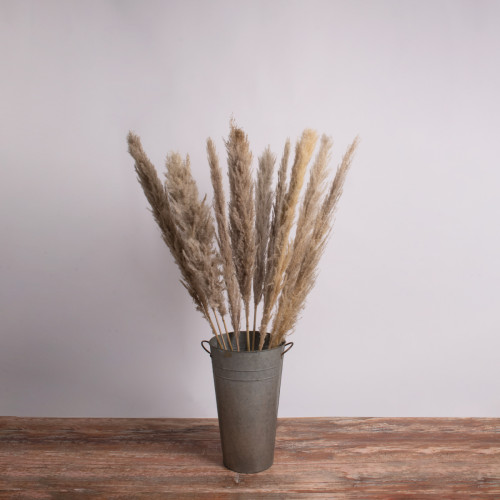  PAMPASGRASS 36513 Αποξηραμένο Φυτό Γρασίδι της Πάμπας - Μπουκέτο Διακοσμητικών Κλαδιών Καφέ - Γκρι Υ120cm