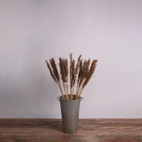  BROOMCORN 36555 Αποξηραμένο Φυτό Γλυκό Σόργο - Μπουκέτο Διακοσμητικών Κλαδιών Καφέ Υ100cm