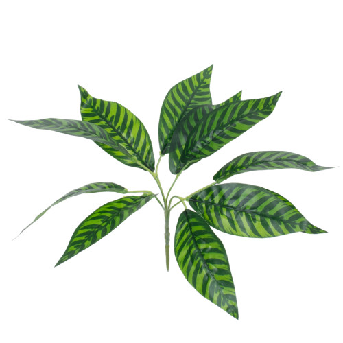 ZEBRA PLANT 78221 Τεχνητό Φυτό Ζέβρα - Μπουκέτο Διακοσμητικών Φυτών - Κλαδιών με Φύλλωμα Πράσινο Υ16cm