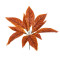  AGLAONEMA ORANGE 78265 Τεχνητό Φυτό Αγλαόνημα Πορτ. - Μπουκέτο Διακοσμητικών Φυτών - Κλαδιών με Φύλλωμα Πορτοκαλί Υ30cm