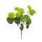  CENTELLA 78267 Изкуствено растение Centella - Букет от декоративни растения - Клони със зелена зеленина H33cm