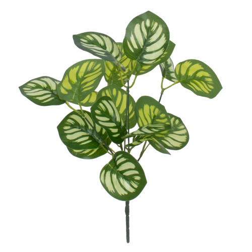  GREEN PEPEROMIA 78286 Изкуствено зелено растение Peperomia - Букет от декоративни растения - Клони с листа Зелено - Бяло H33cm