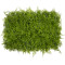  78414 Artificial - Συνθετικό Τεχνητό Διακοσμητικό Πάνελ Φυλλωσιάς - Κάθετος Κήπος Λέιλαντ - Νάνος Κισσός Πράσινο - Λαδί Πράσινο Μ60 x Υ40 x Π9cm